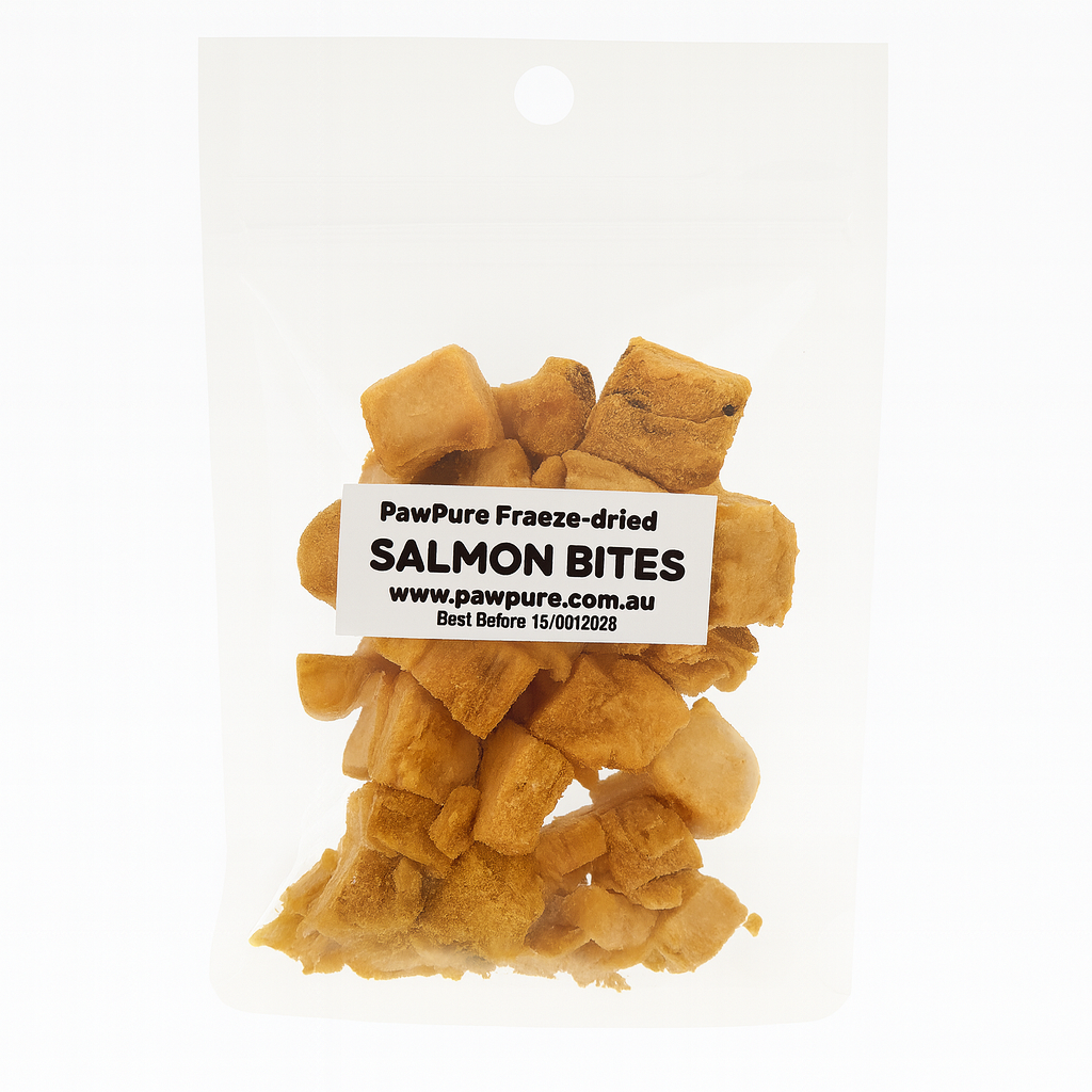 Freeze Dried Salmon Bites | Single Ingredient Treat for Cats and Dogs