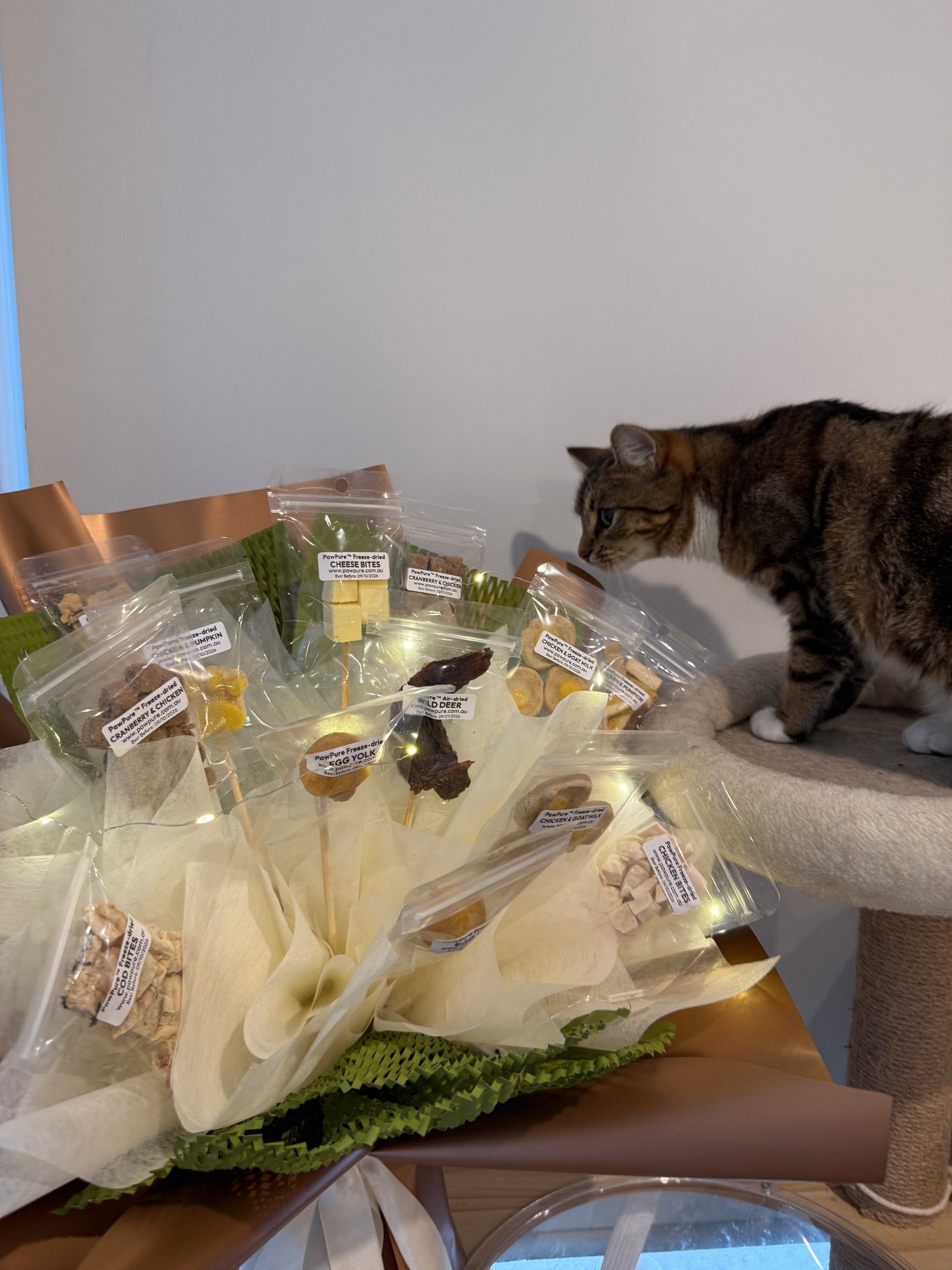 freeze dried mixed treat bouquet for cats and dogs variety selection multiple flavours pawpure