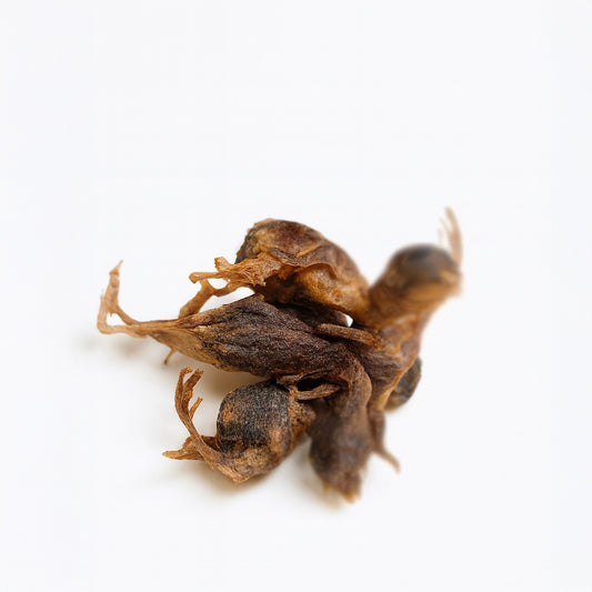 Freeze Dried Whole Quail | Bone-In Treat for Cats and Dogs | PawPure