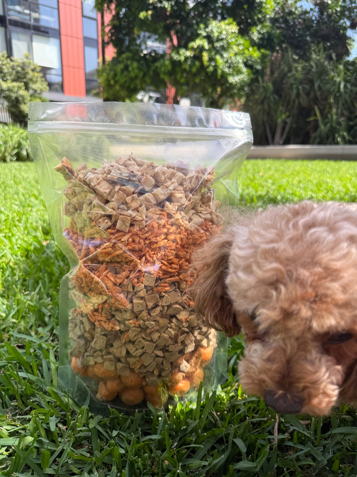 1kg variety pack freeze dried treats for cats and dogs mixed flavours pawpure