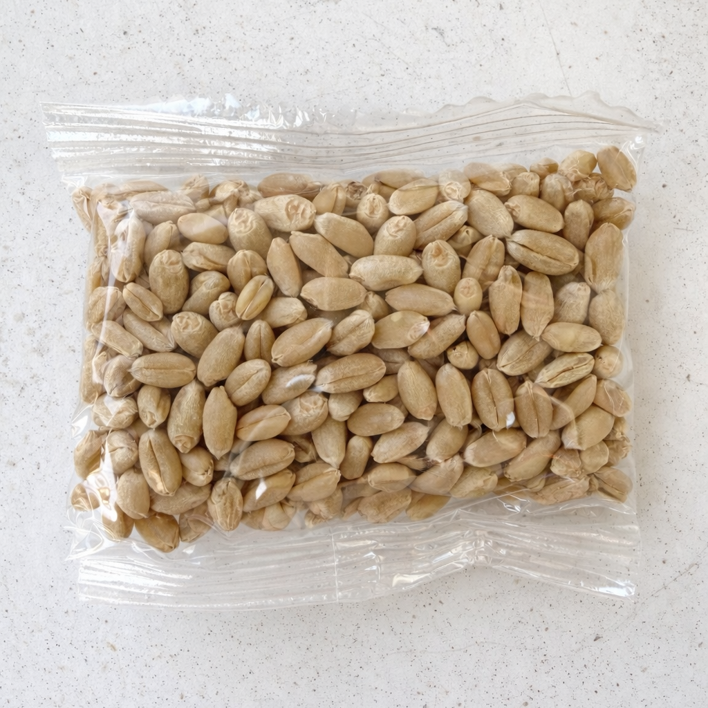 Cat grass seed refill for cats, untreated hydroponic growing seeds in clear packaging by PawPure