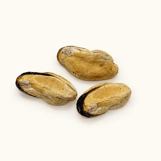 Freeze-dried green-lipped mussel treats for cats and dogs by PawPure