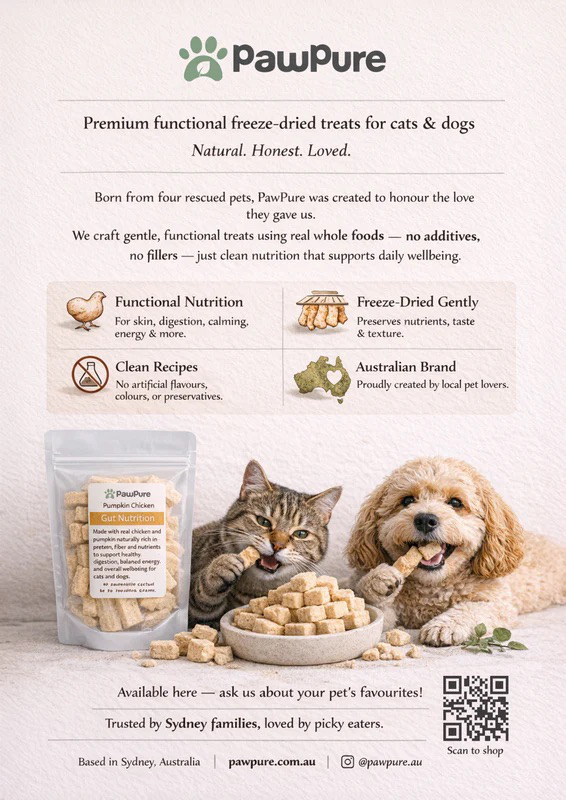 pawpure freeze dried pet treats poster premium natural snacks for cats and dogs